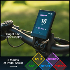 XP4 750 Pine Green eBike
