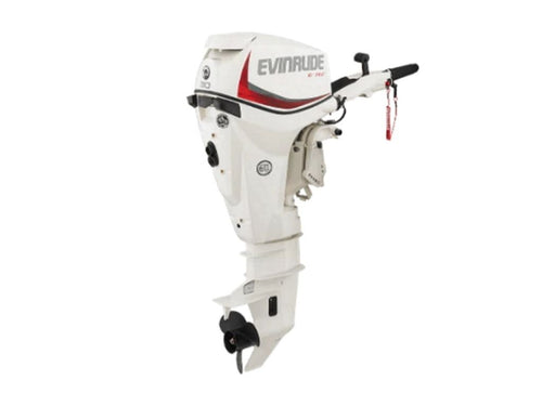 Evinrude E30DRSL E TEC Outboard Motor image 0